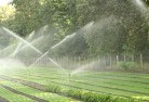 Graytownlandscaping-water-management-and-drainage-17.jpg; ?>